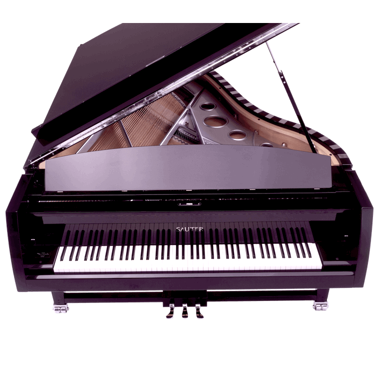 Sauter Model Vivace