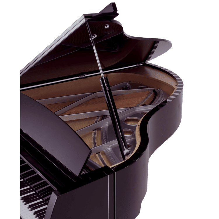 Sauter Model Vivace grand