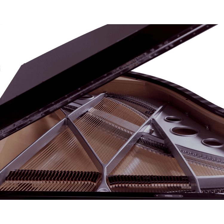 Sauter Model Vivace piano with silver plate