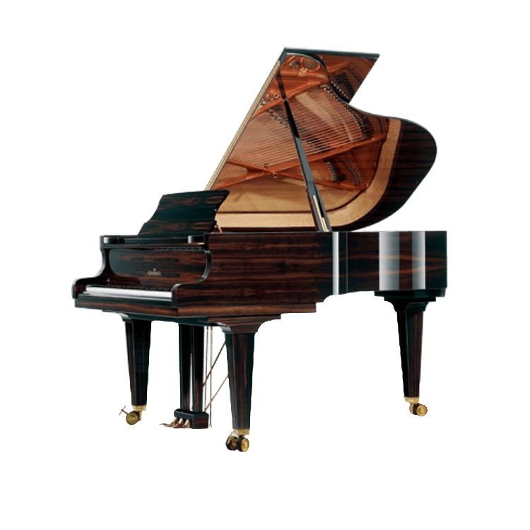 Schimmel Macassar Model