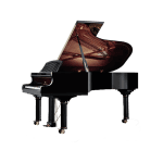Schimmel NWS Edition grand piano