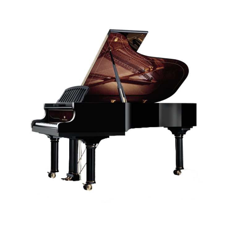 Nikolaus Wilhelm Schimmel Edition Grand Piano