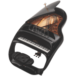 Schimmel Pegasus piano