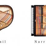 baby grand piano wide tail vs narrow tail