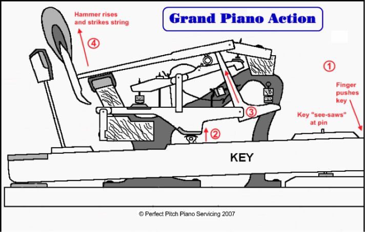 How a Grand Piano Works