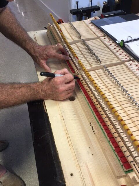 pianodisc technician in florida