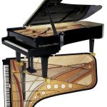 Steingraeber & Sohne Pianos Steingraeber & Sohne Pianos